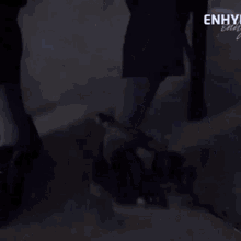 enha orbitgene riki nishimura niki