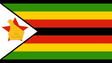 zimbabwe join zimbabwe server flag confetti join