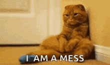 I Am A Mess Cat GIF - I Am A Mess Cat Sad GIFs