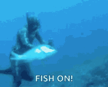 Fish Feed GIF - Fish Feed Steam GIFs
