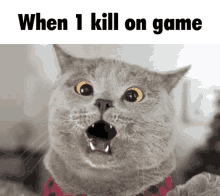 game kill one kill
