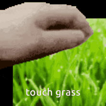Touch grass meaning