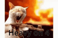 Raid Cat Heavy GIF - Raid Cat Heavy Shoot GIFs