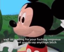 Well Im Waiting For Your Fucking Response GIF - Well Im Waiting For Your Fucking Response Mickey Mouse GIFs
