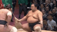 Shimmy Sumo GIF - Shimmy Sumo Dancing GIFs
