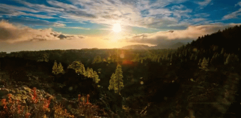 Cinemagraphs GIF - Earthporns Cinemagraphs Nature - Discover & Share GIFs