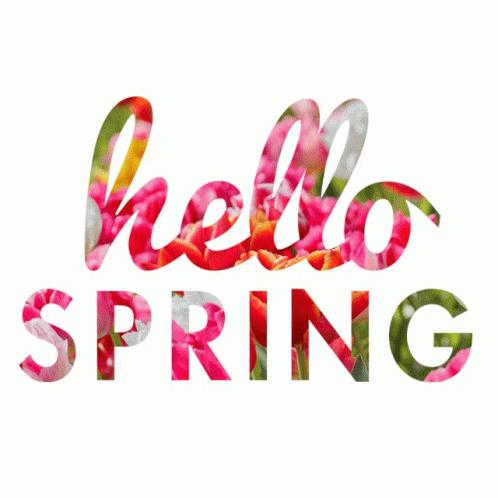 Hello Spring GIF - Hello Spring - Discover & Share GIFs