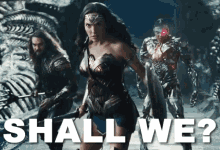 Shall We? GIF - Justice League Movie Wonder Woman Diana Prince GIFs