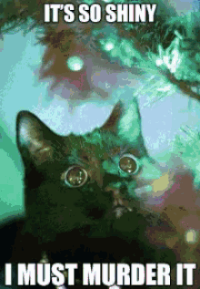 christmas cat catmas tree shiny