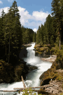 Washington Waterfalls GIF - Washington Waterfalls River GIFs