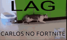 Lag Fortnite GIF - Lag Fortnite Portugal GIFs