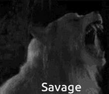 Savage Rawr GIF - Savage Rawr Wolf GIFs