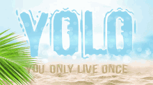 Yolo Yolorum GIF - Yolo Yolorum Rumyolo GIFs