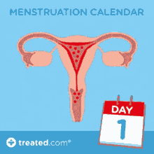 menstruation calendar how