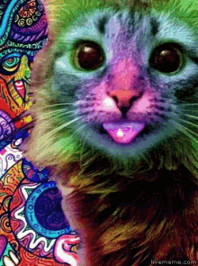 Groovy Cat GIF - Groovy Cat Colors GIFs