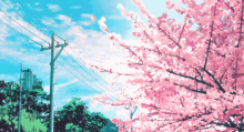 anime blossoms