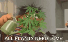 Plants Need Love Ernie GIF - Plants Need Love Ernie Sesame Street GIFs