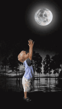 Full Moon Moonlight GIF - Full Moon Moonlight GIFs