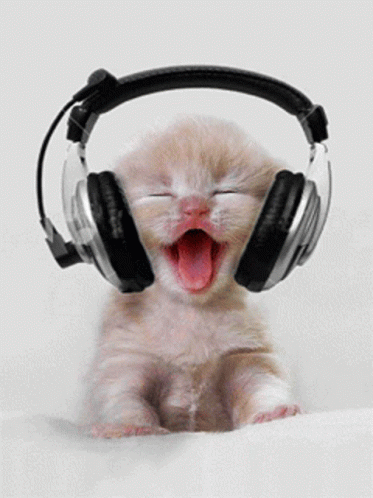 Cute Cat GIF - Cute Cat Listening To Music GIFs