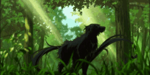 The Ancient Magus Bride Dog GIF - The Ancient Magus Bride Dog Elias Ainsworth GIFs