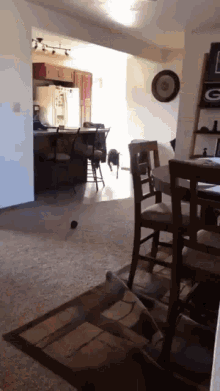 Dog Excited GIF - Dog Excited Fail GIFs
