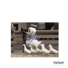 Adois Duck GIF - Adois Duck GIFs