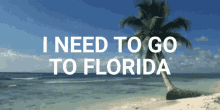 I Need To Go To Flordia Host GIF - I Need To Go To Flordia Host 4live GIFs