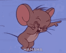 jerry funny animal laughing mouse