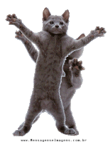 Cat Dancing Cat Sticker - Cat Dancing Cat Cute Stickers