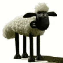 Sheep Shuan The Sheep GIF - Sheep Shuan The Sheep GIFs