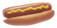 hotdog hotdog sandwich cheese food