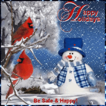 Happy Holidays Cardinal GIF - Happy Holidays Cardinal Be Safe GIFs
