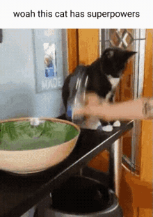 Strong Cat GIF - Strong Cat Super Powers GIFs
