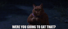 Shrek Puss In Boots GIF - Shrek Puss In Boots Were You Going To Eat That GIFs