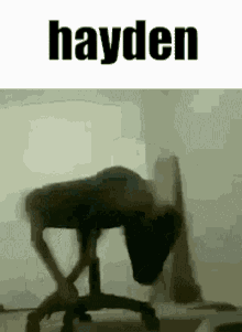 Hayden Chair GIF - Hayden Chair Spinning GIFs