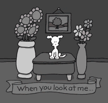 When You Look At Me Flower GIF - When You Look At Me Flower Dog GIFs