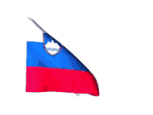 Slovenia Flag GIF - Slovenia Flag Fly GIFs