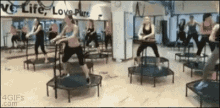 Horse Fit GIF - Horse Fit Gym GIFs
