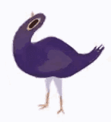 purple dove