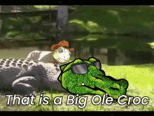 crypto crocs