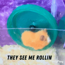Hamster Rolling GIF - Hamster Rolling They See Me Rollin GIFs