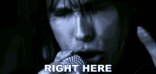 Right Here Steven Tyler GIF - Right Here Steven Tyler Aerosmith GIFs