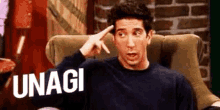 Unagi Ross Geller GIF - Unagi Ross Geller Friends GIFs