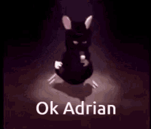Adrian Rat GIF - Adrian Rat Ok GIFs