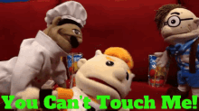 pee touch