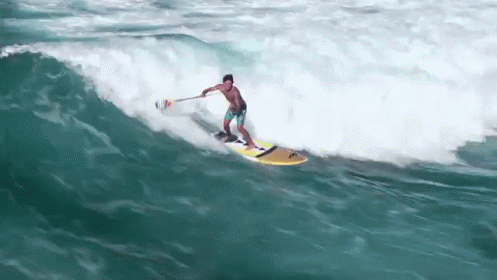 Paddle Surf GIF - Extreme Surfing Water - Descubre & Comparte GIFs