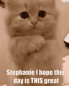 Stephanie I Hope This Day Is This Great GIF - Stephanie I Hope This Day Is This Great Stephanie Great GIFs