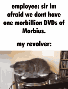 Morbius Cat GIF - Morbius Cat Spin GIFs