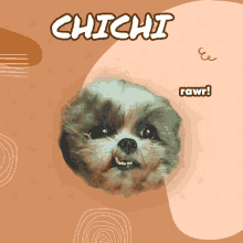 Chichi GIF - Chichi GIFs