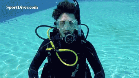 Snorkel Swimming GIF.